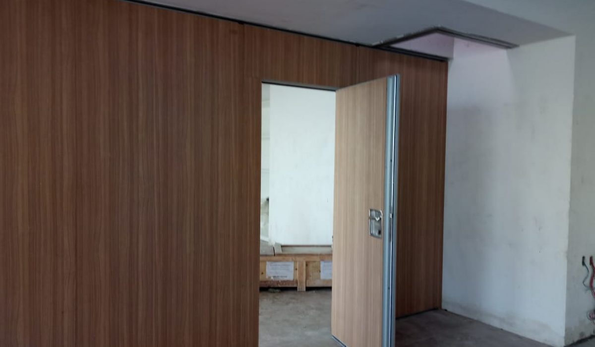 Inset Pass Door